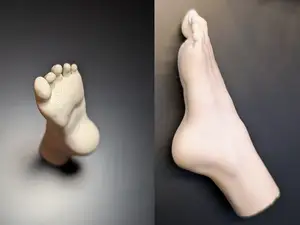 Human female foot - Realistic Foot