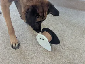 Pet/Dog Toy