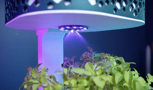 Automated Self-Watering Smart Planter — Фото 2 из 6