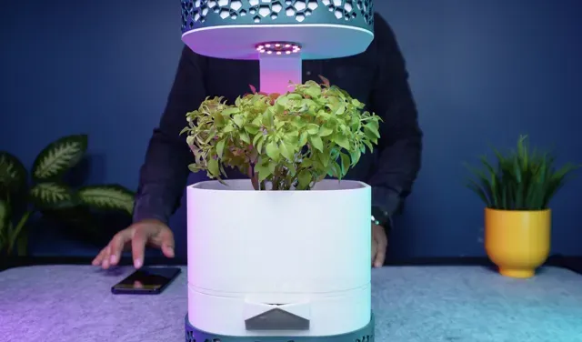 Automated Self-Watering Smart Planter — Фото 5 из 6