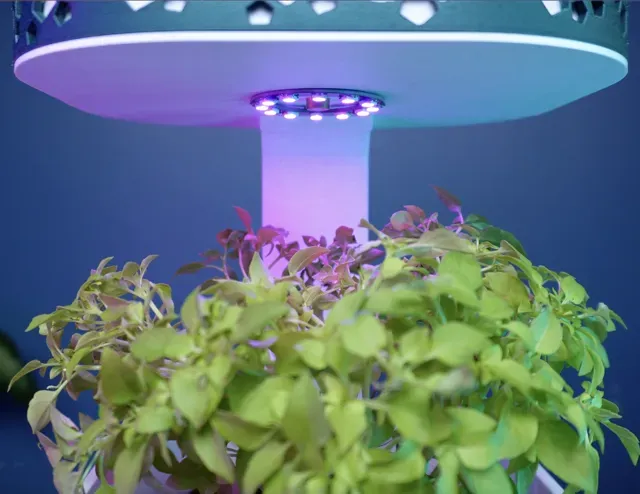 Automated Self-Watering Smart Planter — Фото 6 из 6