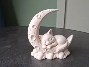 Sleeping Cat on the Moon