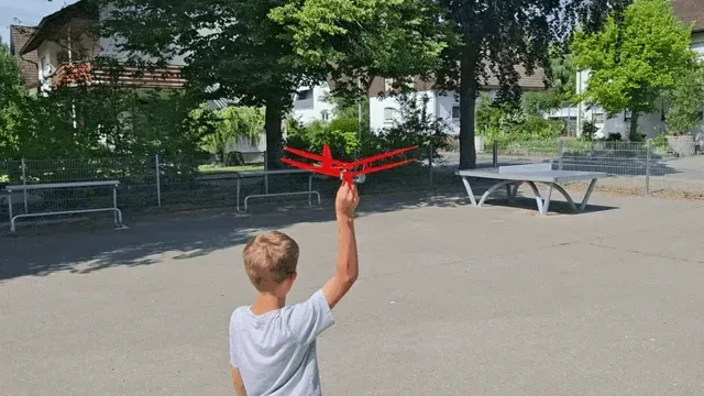 Free-flight glider "DragonFly" — Image 3 of 5