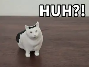 Huh Cat!