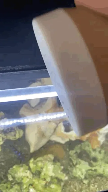 Fischfutterbox mit Sieb