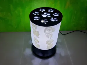 Paw Patrol Lithophanie Lampe
