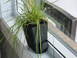 Self-Watering Flower Pot - Made for Window Sills