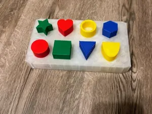 Montessori Geometric Shape Sorter Toy