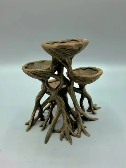 Mangroven Wurzel Planter — Фото 5 из 8
