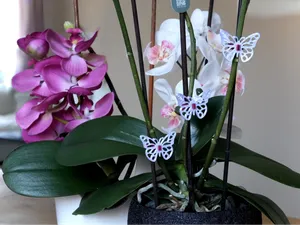 Decorative Orchid Clip