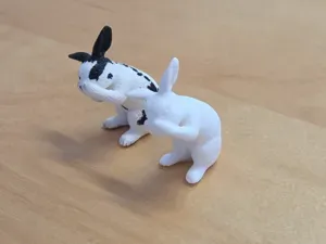 Hase