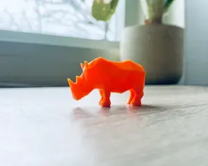 Cute Rhino