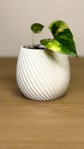 Spiral flower pot