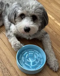 Slow Feeder Dog Bowl