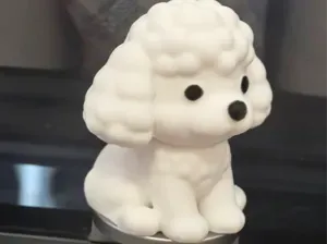 可爱的贵宾犬