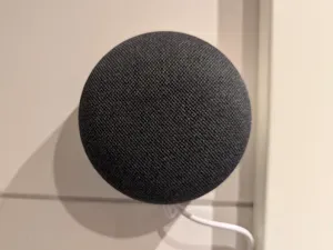 Google Home Mini Wall Mount with Cable Hideout