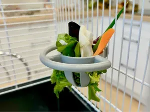 Bird Cage - Fruit & Treat Perch Bowl