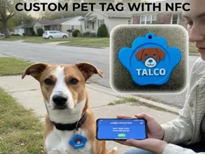 Customizable NFC Tag for Dogs
