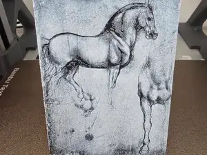Studies of horses - Leonardo Da Vinci