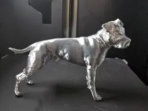 Pitbull dog model