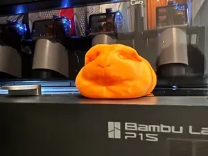 LOAF The Guinea Pig