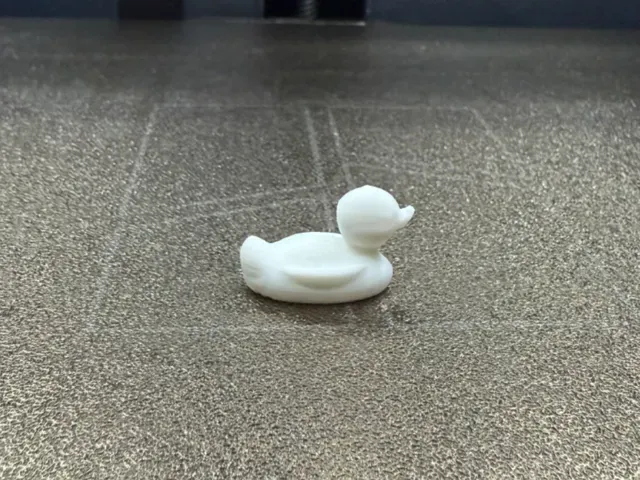 DUCK 10 MIN TEST PRINT