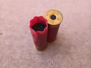 12 Gauge Snap Cap Insert