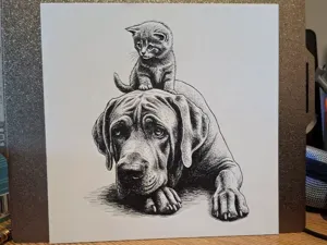 Cat and Dog - Hueforge