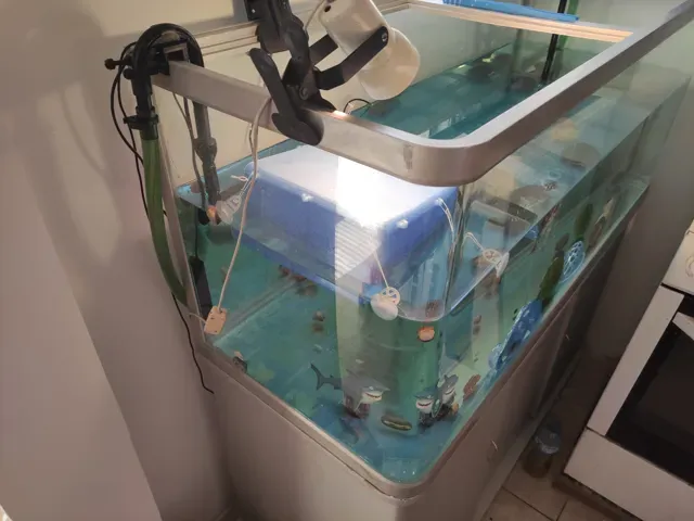 basking area for turtles — Image 2 of 4