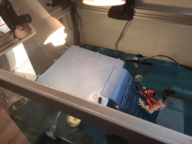 basking area for turtles — Image 3 of 4