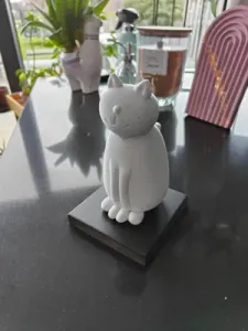 Sitting Cat