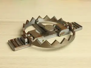 Bear Trap