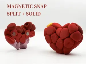 Bubble Heart – Split Magnet or Solid Heart