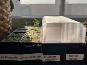 Miniature selfwatering greenhouse seedling starter