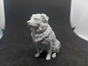 Mixed-breed Realistic Dog Four-legged Friend