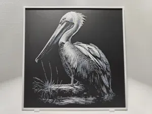 Pelican - Hueforge