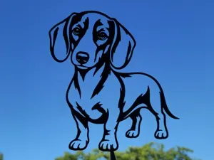 Cute Dachshund Wall Art