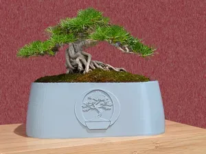 Modern Mininalist Bonsai Planter Pot
