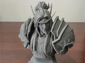 Warcraft Paladin Horde Elf