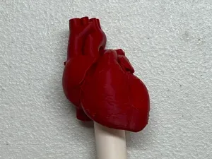 Big Brick * Heart (Anatomical)