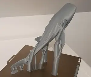 Majestic Whale Shark
