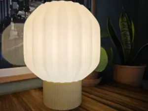 Soft Bloom Lamp