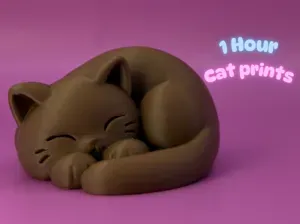 Cozy Curl Cat - 1 hour print