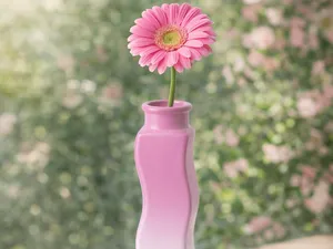 Vase Kurv Design