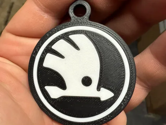 Skoda logo on key, key ring