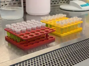 Eppendorf Tube Holder, 6x6