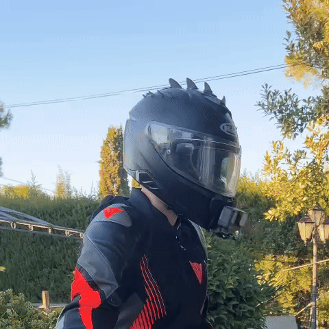 Dragon Crest for Motorcycle Helmet
