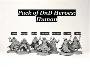 DnD Heroes Pack - Human