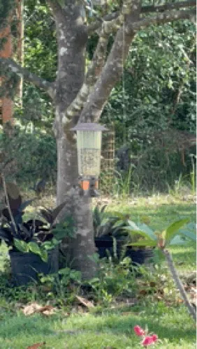 Perky-Pet Squirrel-Be-Gone MAX Bird Feeder Insert — Фото 6 из 6