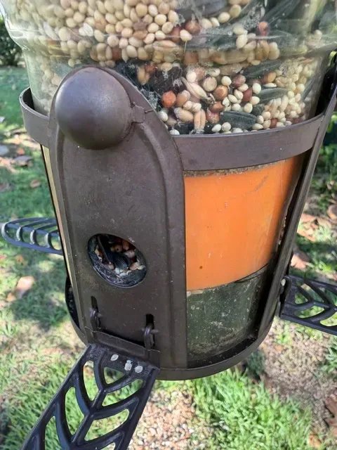 Perky-Pet Squirrel-Be-Gone MAX Bird Feeder Insert — Фото 5 из 6